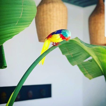 アル・ジャディーダ Art Houseヴィラ エクステリア 写真